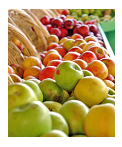 apple2.jpg